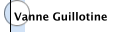 Vanne Guillotine