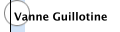 Vanne Guillotine