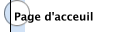 Page d'acceuil